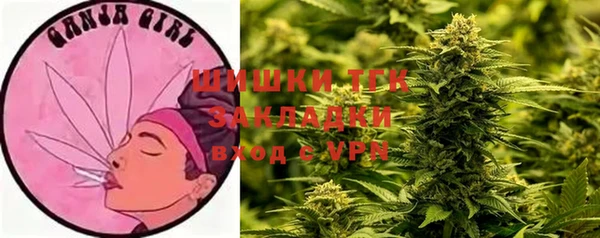 ALPHA PVP Верея