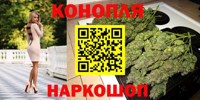 герыч Кингисепп