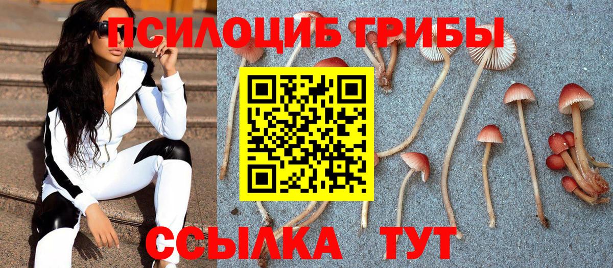 Псилоцибиновые грибы прущие грибы  Вход с VPN  закладка  Медногорск 