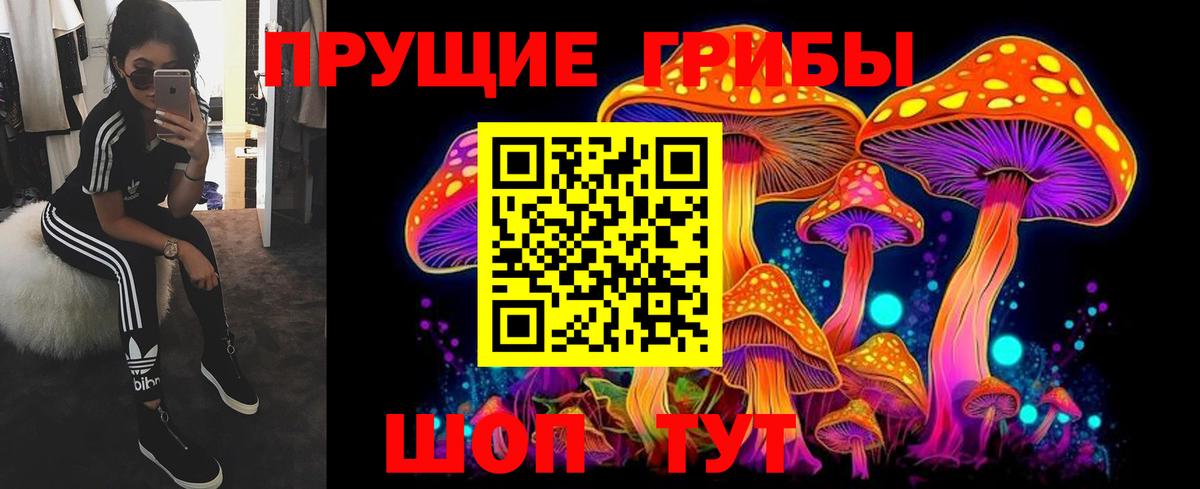 Псилоцибиновые грибы мухоморы Медногорск